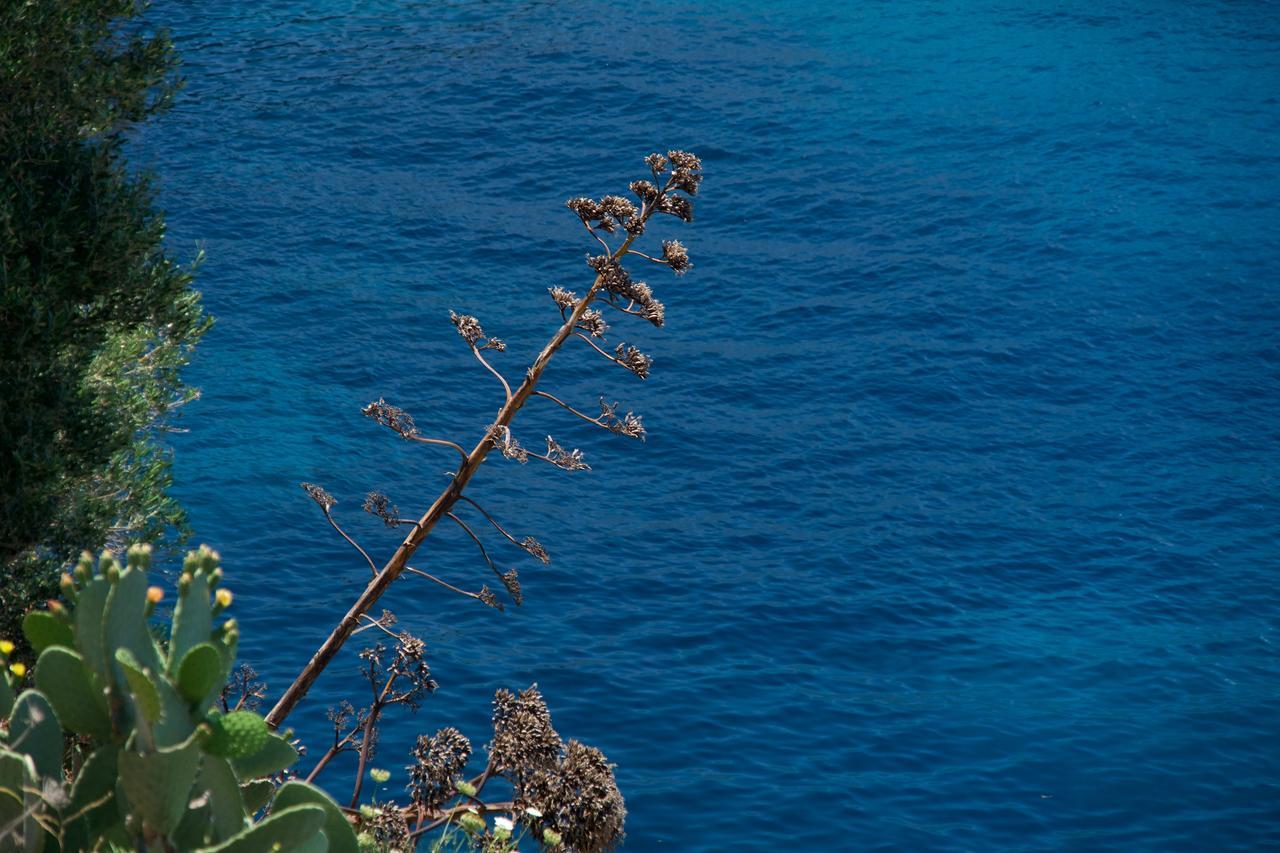 Villa Apoplous With Pool Άσσος Εξωτερικό φωτογραφία